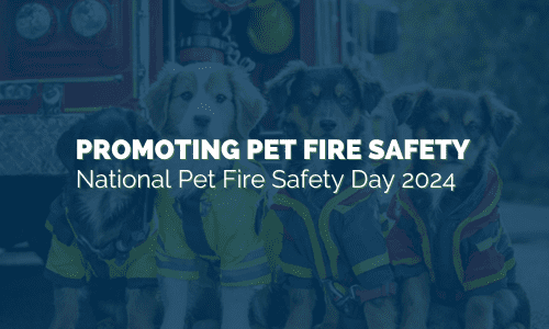 Promoting Pet Fire Safety on National Pet Fire Safety Day 2024